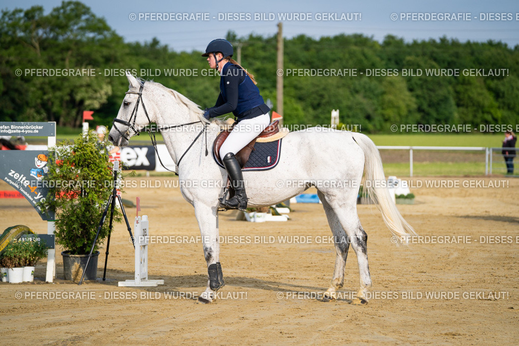 DSC02669 | Pferdegrafie