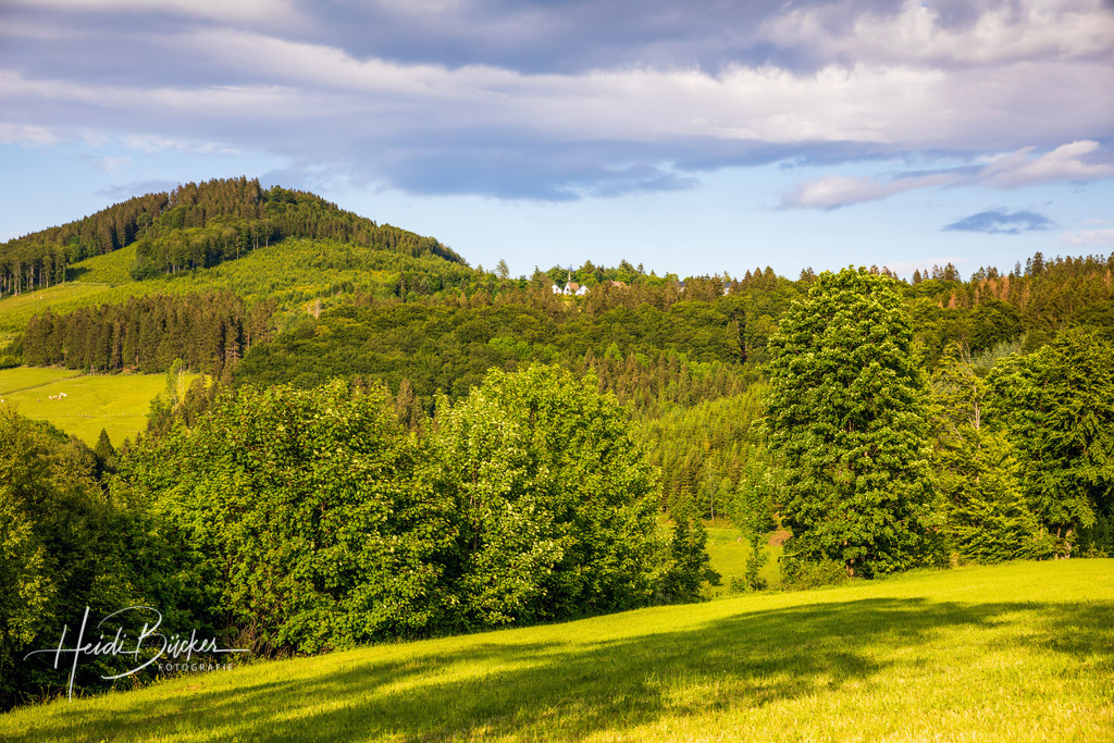 Blick auf den Hohen Knochen | Blick auf den Hohen Knochem im Schmallenberger Sauerland - Realisiert mit Pictrs.com