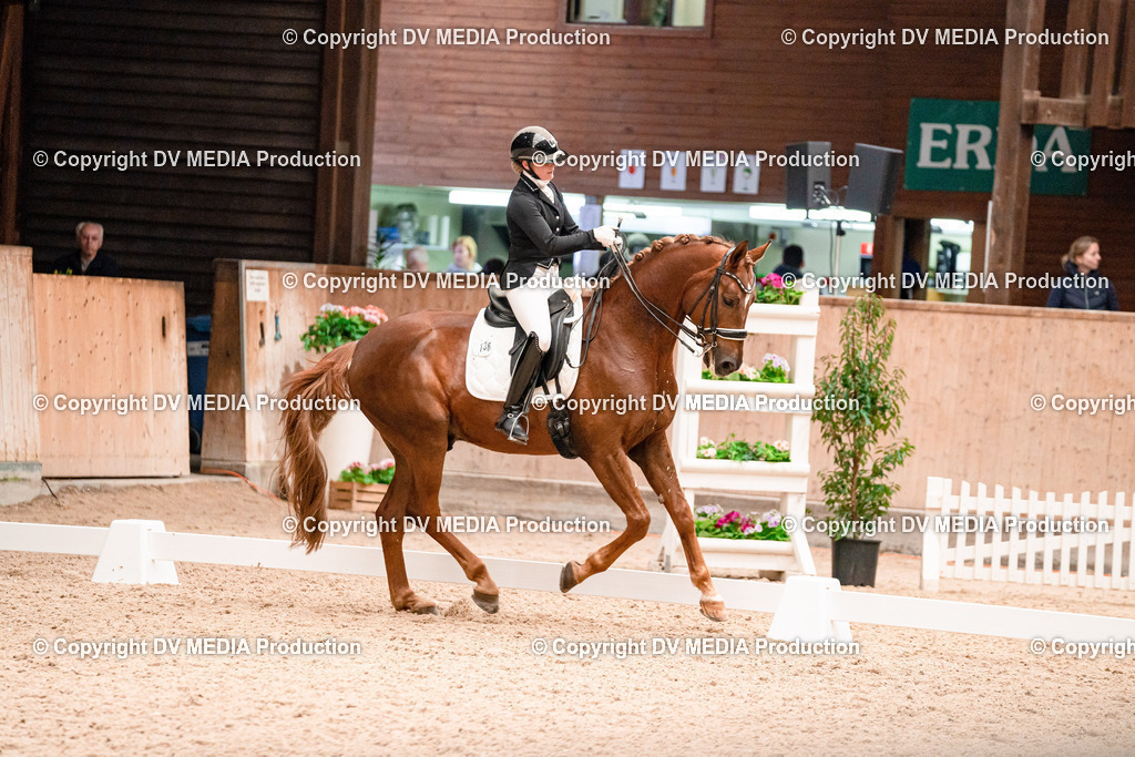 Dressur Tag 3-403 | dv-media-shop - Realisiert mit Pictrs.com