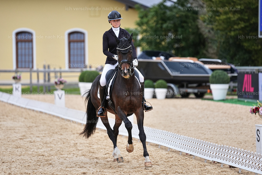 3-104-Dressur M_-Marixx-1960 | working equitationturnier fotograf videograf stoibphotography marixx film working equitation deutschland reitsport turnierfotografie eventfotografie equestrian events