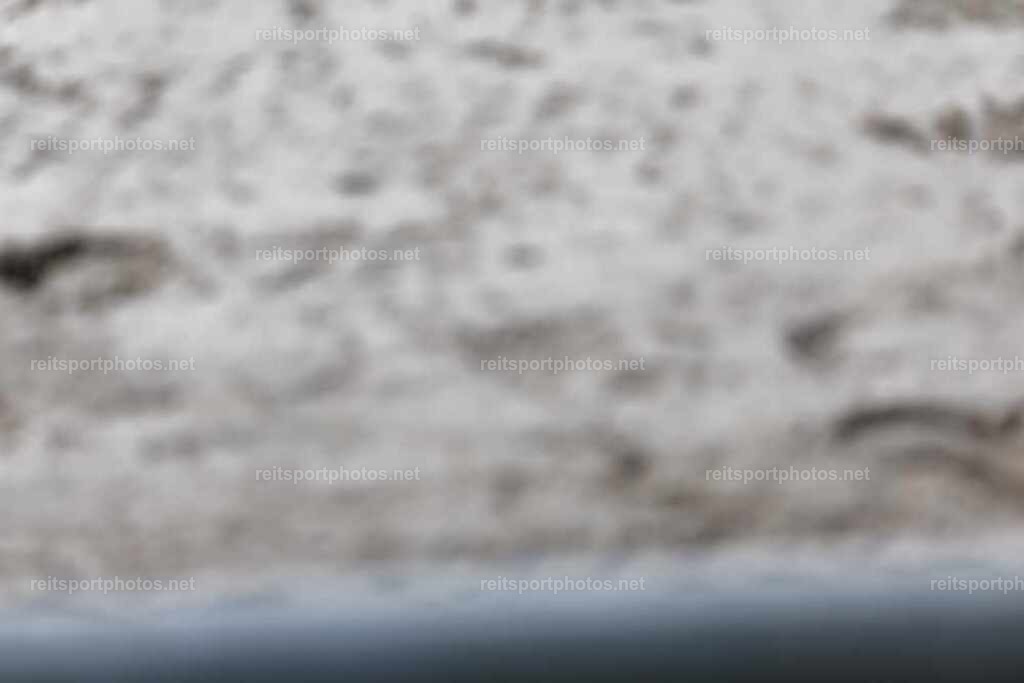 JoYaR3_Heidehof_00306 | JoYa Fotografie - Realisiert mit Pictrs.com