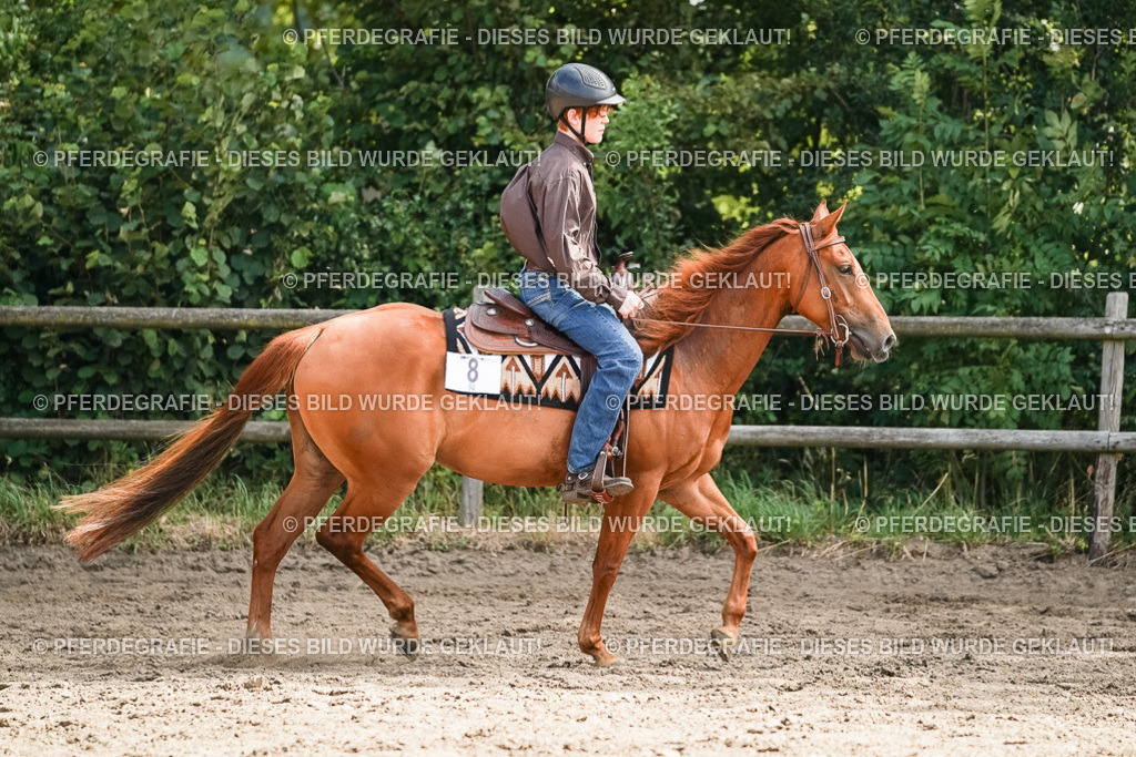 DSC04793 | Pferdegrafie