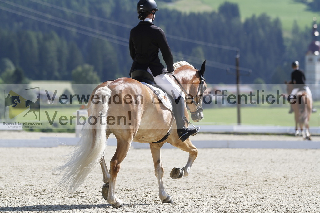 _MG_6250 | equestrian-live-com