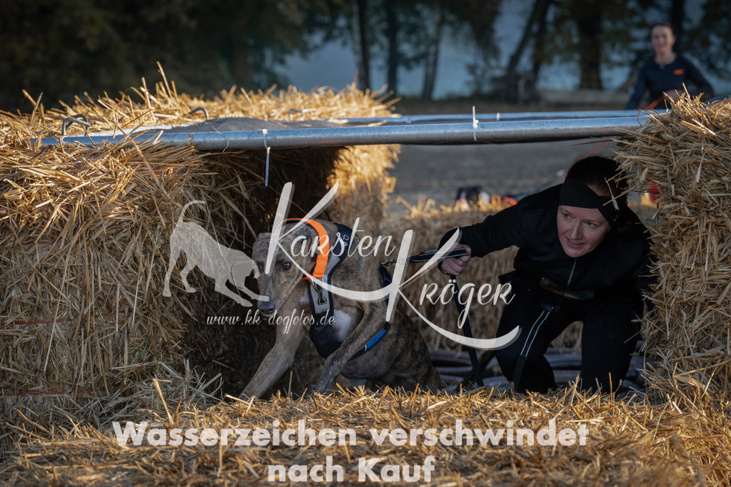 0912_ZZ91954 | kk-dogfotos