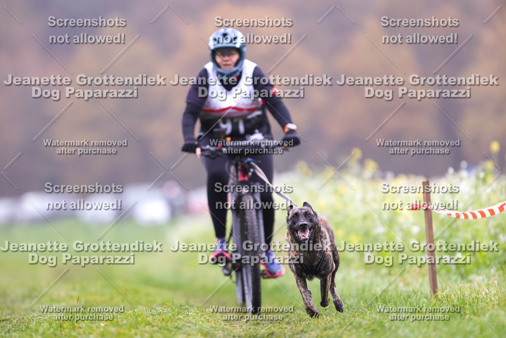 Dog Paparazzi - Visbeck 25 -203 | Dog Paparazzi Jeanette Grottendiek Fotografie & Videografie - Realisiert mit Pictrs.com