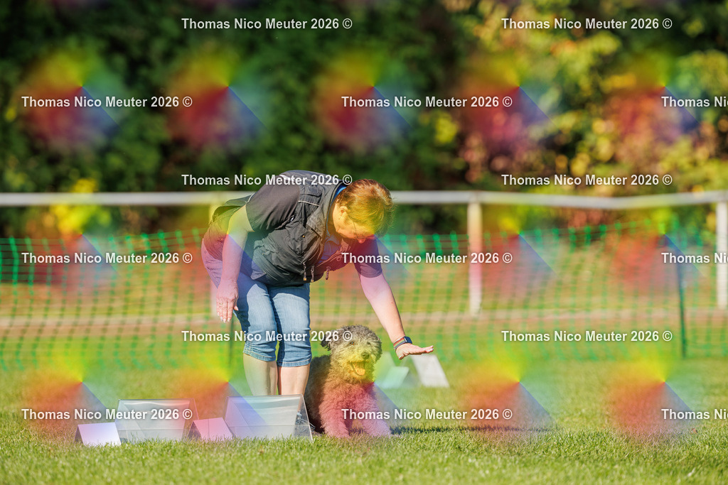 Thomas_Nico_Meuter(C)_04. Oktober 2026_223A2942 | Bild von Thomas Nico Meuter - Realisiert mit Pictrs.com