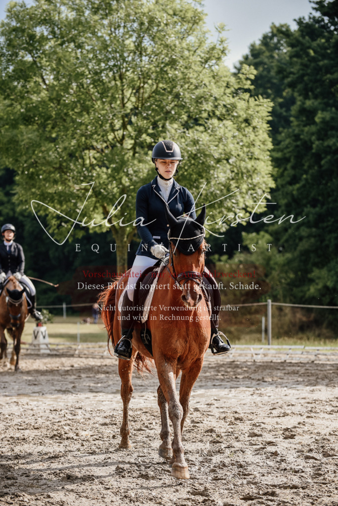 DSC_8906 | Pferde- und Turnierfotografie in Westsachsen. Pferdeportraits, Auftragszeichnungen und intuitive Kunst.