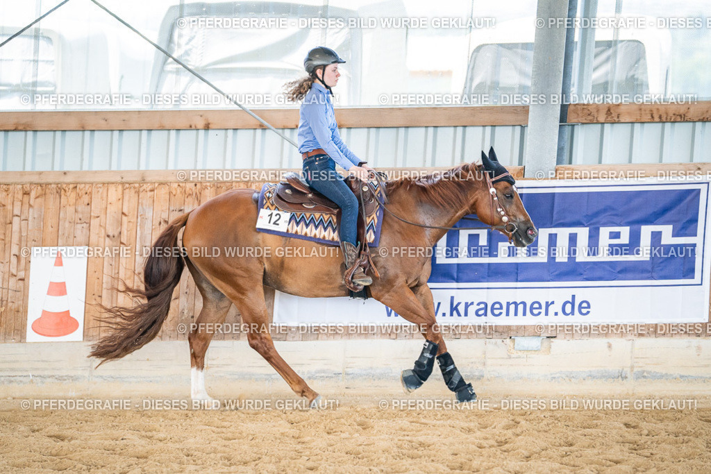 DSC03689 | Pferdegrafie