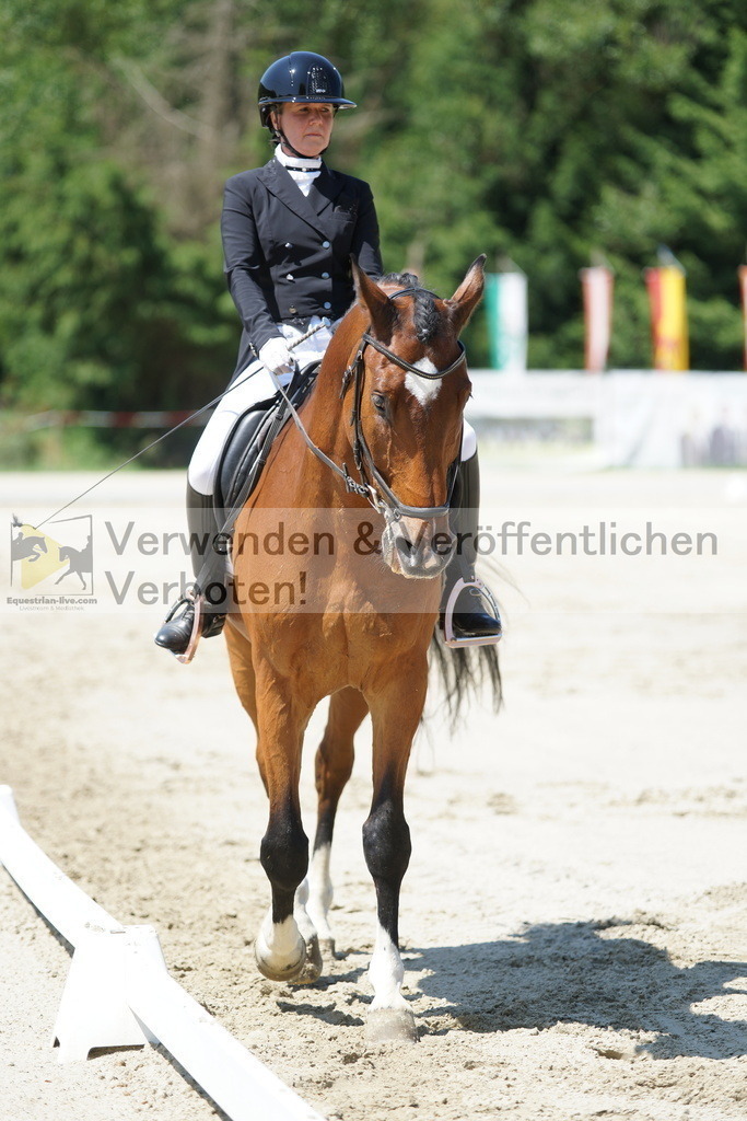 DSC03220 | equestrian-live-com