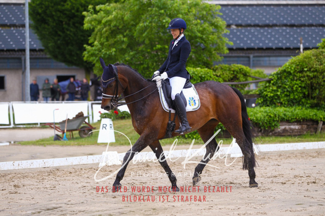 DKP40426 | Turniersportfotografie; Pferdefotografie; Dressurfotografie