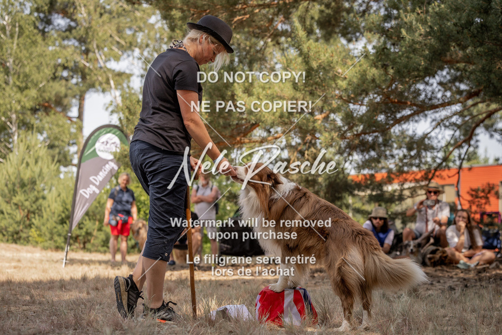 nelerasche_soDD2_163 | nelerasche