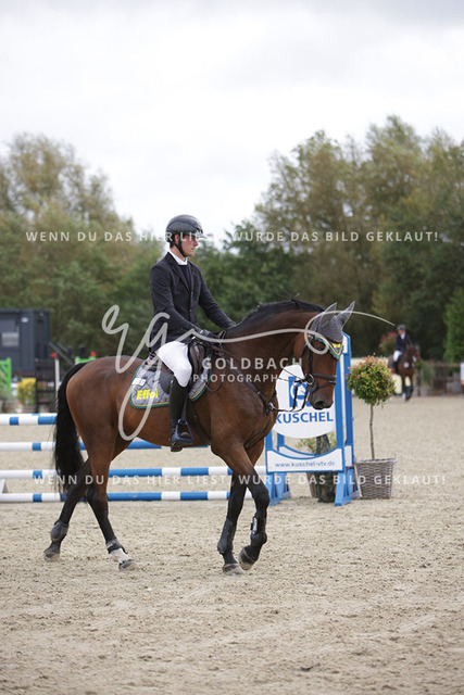 1J2A1957Philipp Battermann-Voss_ Claus 83_ Kn237_ Havekost | Foto- und Videografie für alles rund ums Pferd. Hochwertige Bilder und Videos vom Spring- und Dressurreiten, Voltigieren & mehr. Jetzt aktuelle Veranstaltungen und Preise im Shop ansehen. - Realisiert mit Pictrs.com