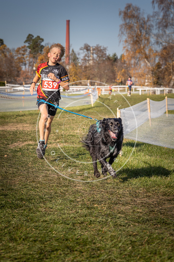 CaniXpix_0L8A7505 | Hundefotografie, Tierfotograf, Pfotenfotografie, Fotoshooting Hund, Hunde Portrait, Hundesport, Hundeportraits, Heideshooting, Hunde, Sportfotograf, Hundefotograf, Turnierhundsport, THS,  - Realisiert mit Pictrs.com