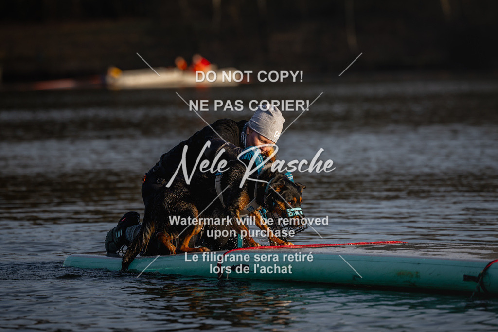 nelerasche_Hulsbeek_Sa1700-1730_169 | nelerasche