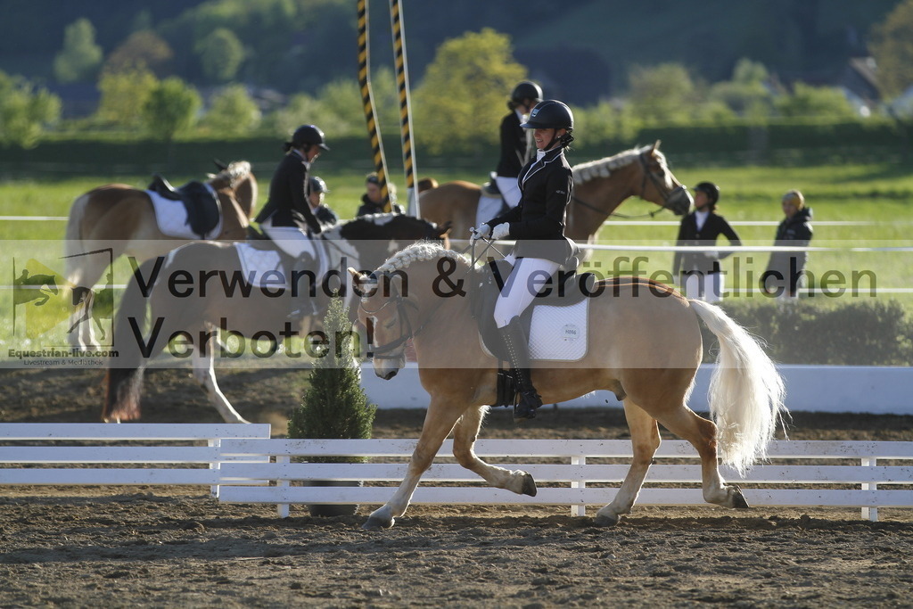 _MG_4430 | equestrian-live-com