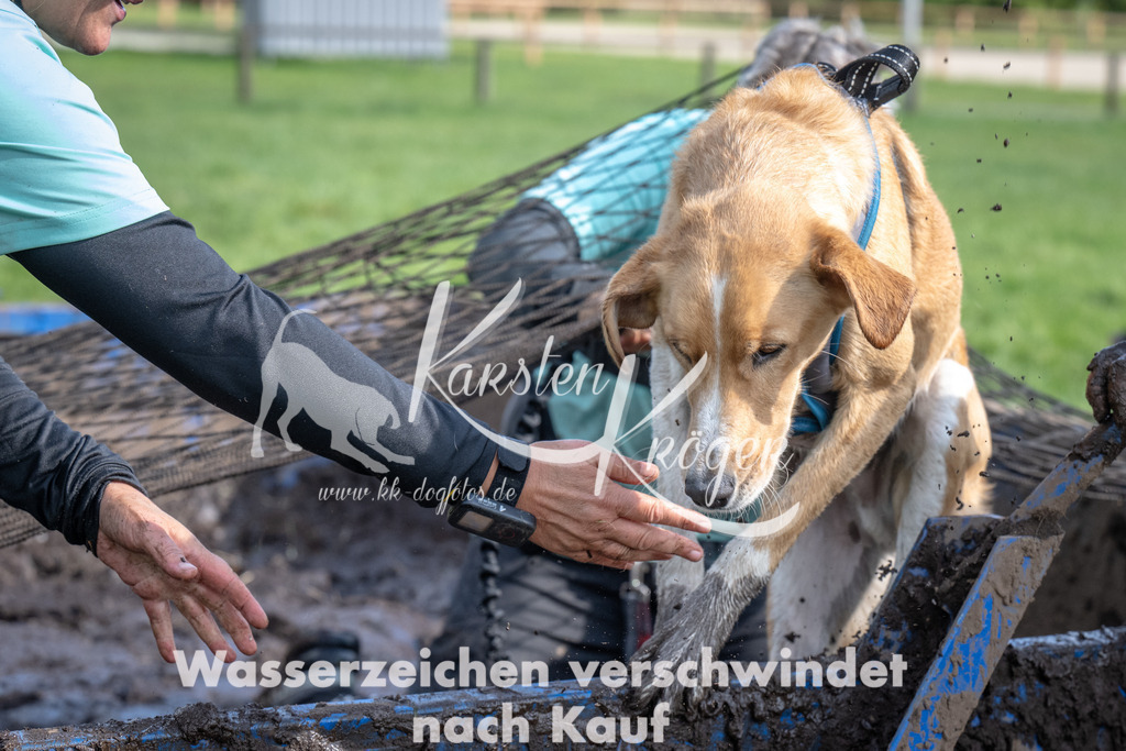 1445_ZZ93458 | kk-dogfotos