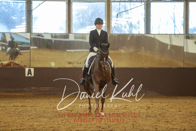 IMG_7107 | Turniersportfotografie; Pferdefotografie; Dressurfotografie