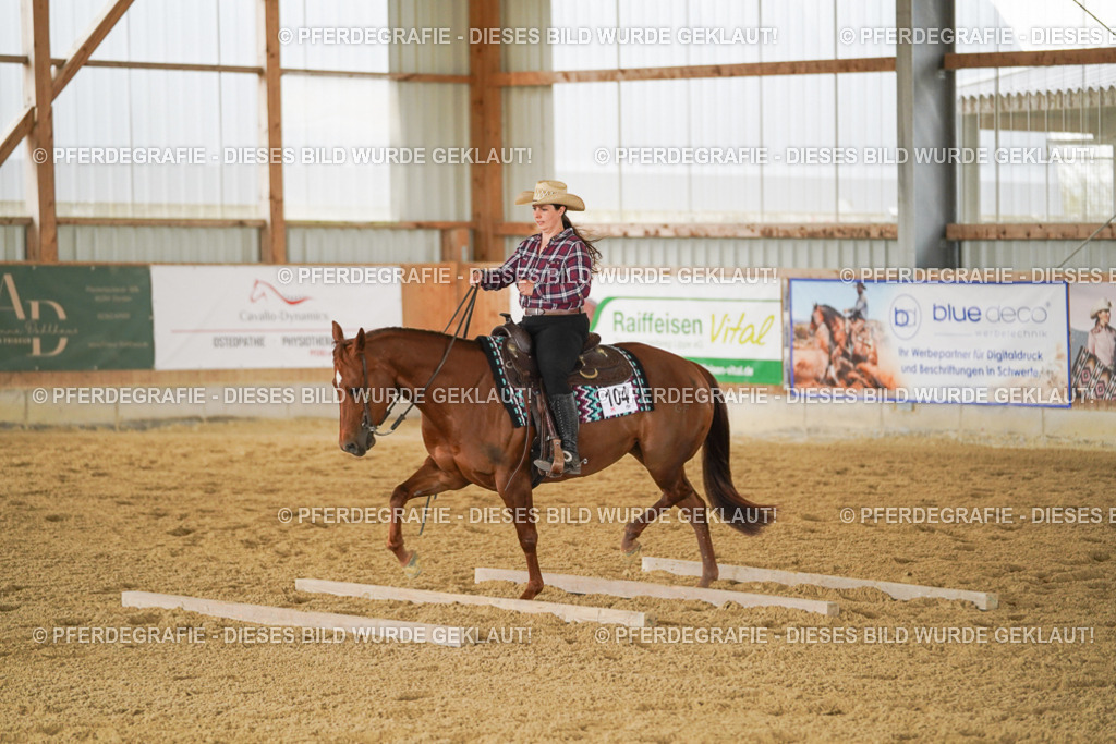 DSC03991 | Pferdegrafie