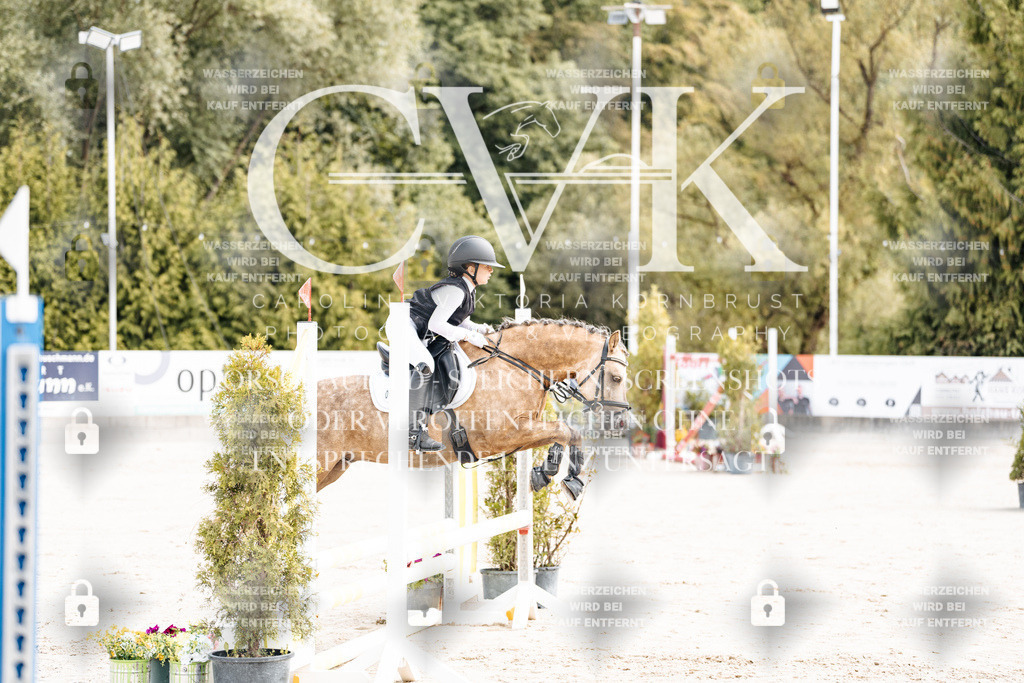CK906223 | Turnierfotografie Pferdefotografie Trier Rheinland-Pfalz Pferdesport Reitsport Tierfotografie Sportfotografie Pferdevideo Pferdevideografie Equestrianvideography equestrianphotography  - Realisiert mit Pictrs.com