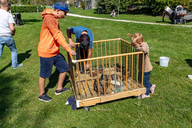 Kulinarischer Herbstreigen am Maltschacher See | Bildershop von pixelworld.at - Realisiert mit Pictrs.com