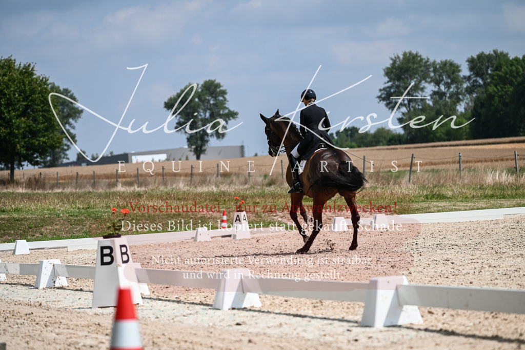 DSC_2467 | Pferde- und Turnierfotografie in Westsachsen. Pferdeportraits, Auftragszeichnungen und intuitive Kunst.