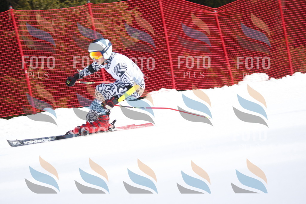 D8060 | holidayphoto