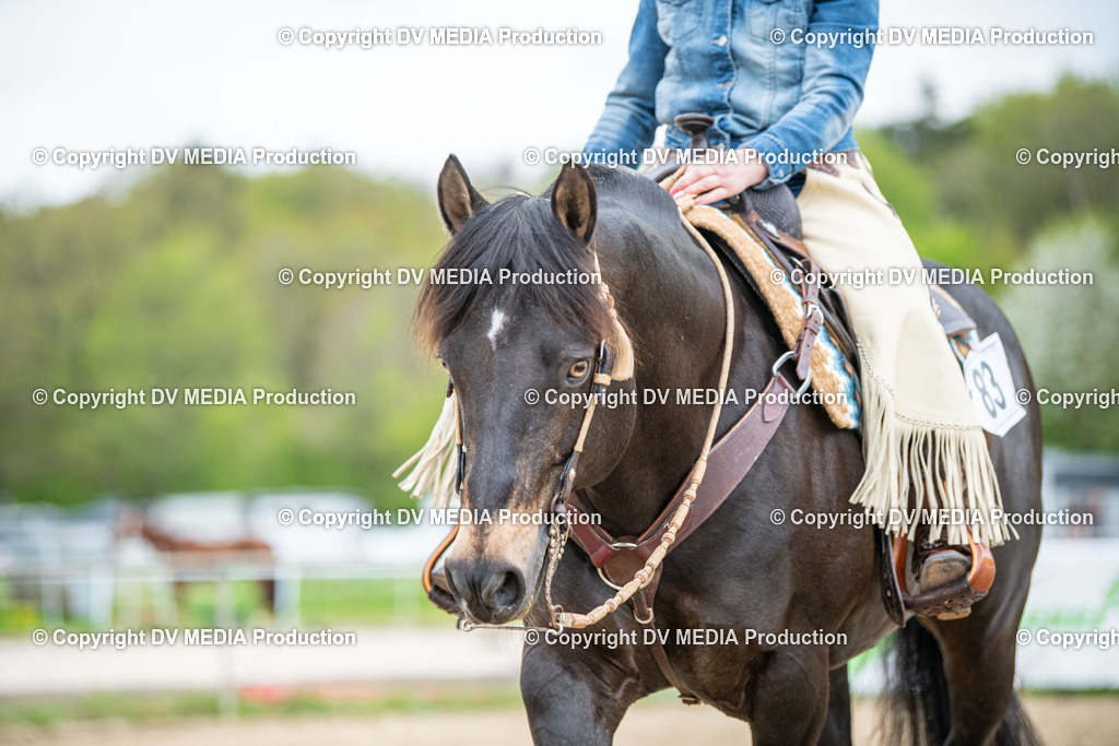 Heiligenwald Tag 1-2246 | dv-media-shop - Realisiert mit Pictrs.com