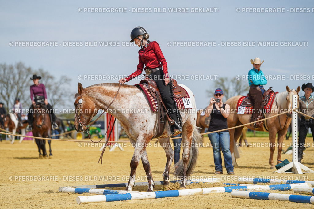 DSC04382 | Pferdegrafie