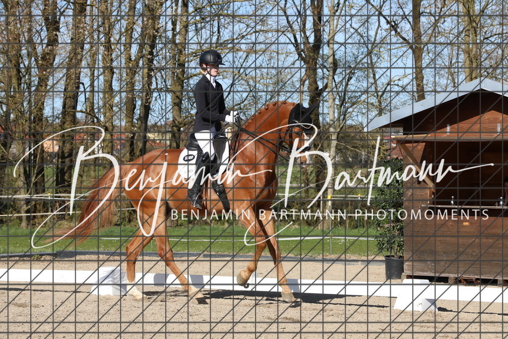 AZ2A5278 | Benjamin Bartmann Photomoments