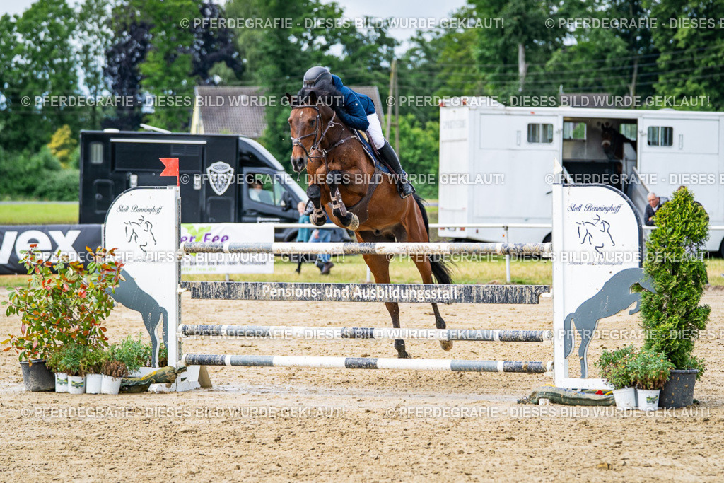 DSC04056 | Pferdegrafie