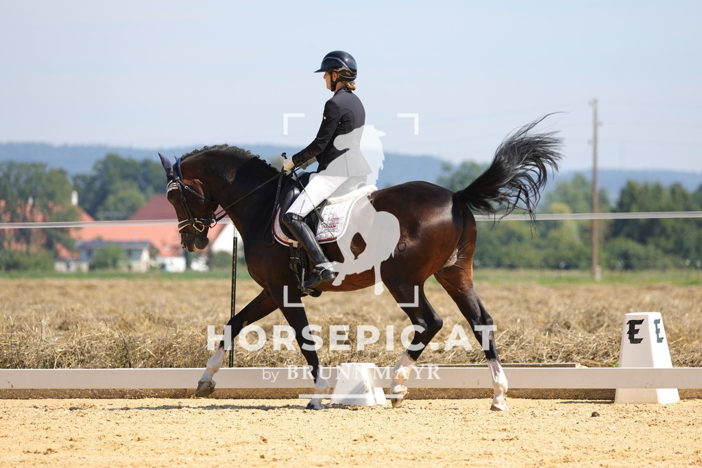 0P6A9614 | Willkommen bei Brunnmayr - Design & Fotografie – Ihrem Spezialisten für Reitturniere und Pferdeveranstaltungen in Oberösterreich, Salzburg und Bayern! Seit über 17 Jahren sind wir leidenschaftlich dabei.