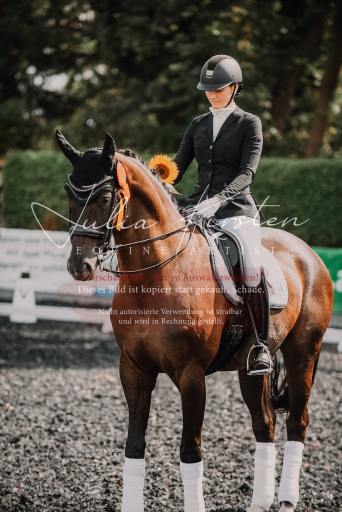 DSC_5137 | Pferde- und Turnierfotografie in Westsachsen. Pferdeportraits, Auftragszeichnungen und intuitive Kunst.