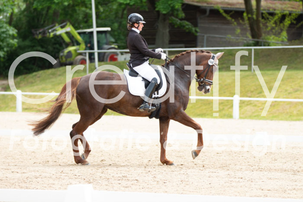 IMG_0917 | Creatify Fotografie