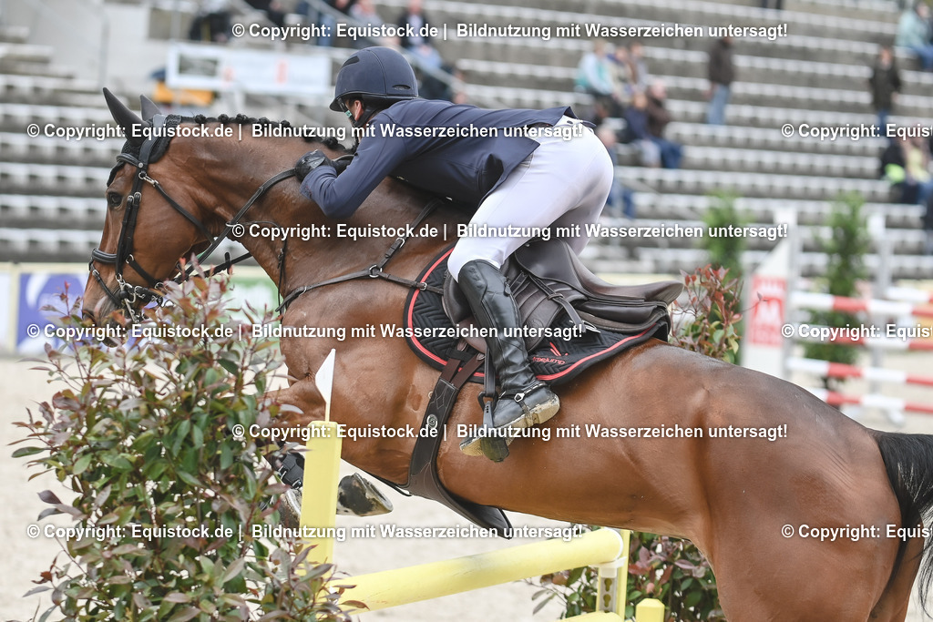 20230514_CCI4_Springen_0066 | equistock