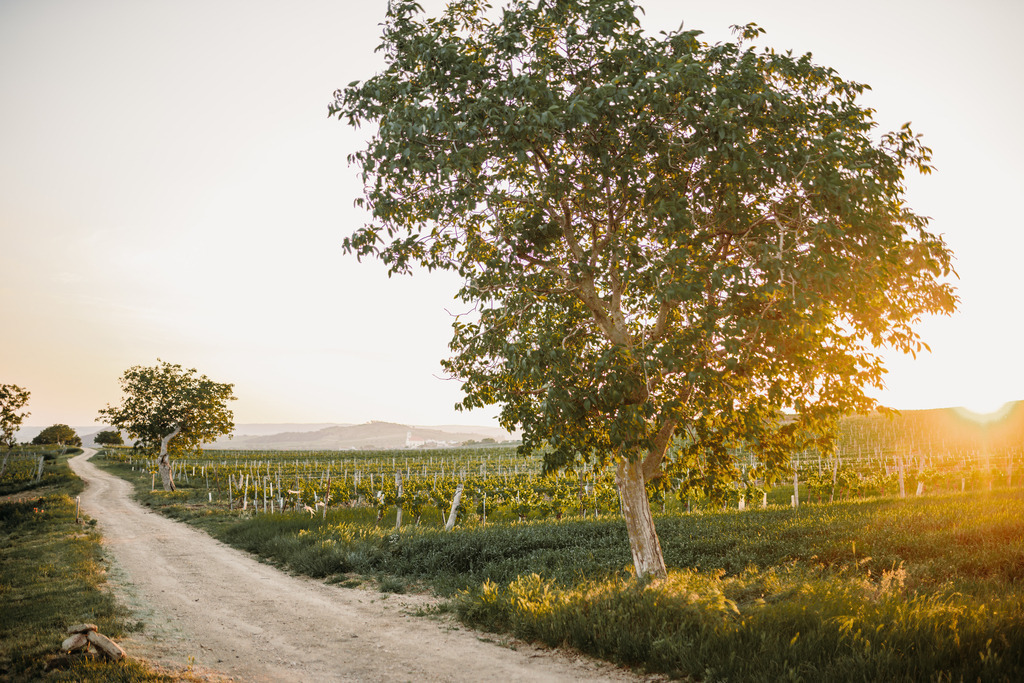 Roman-Huditsch-Fotografie_077 | Exklusiver Webshop für hochwertige Landschaftsfotos aus Kärnten, Österreich und der ganzen Welt.
Landschaftsfotos auf Leinwand, Acrylglas, Aludibond
Wandbilder online kaufen, fürs Zuhause oder als Geschenk zum Geburtstag, Weihnachten und mehr - Realisiert mit Pictrs.com
