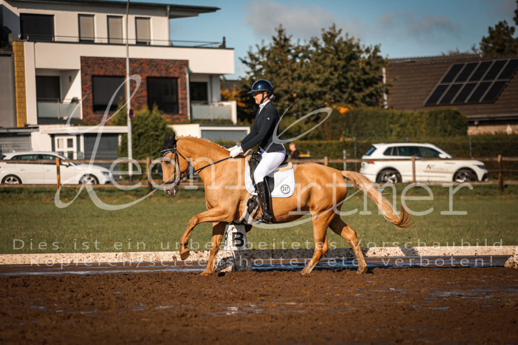 13.SoDrA100328 | Leoni Ertmer Photography - Realisiert mit Pictrs.com