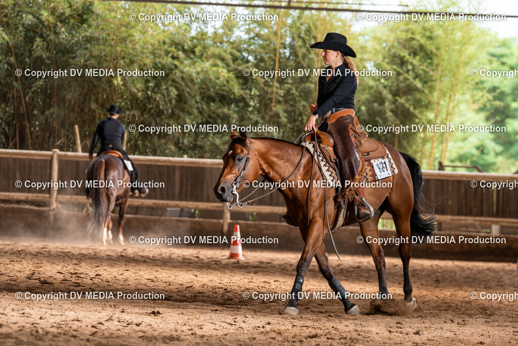 Erbach Tag 1-1111 | dv-media-shop - Realisiert mit Pictrs.com