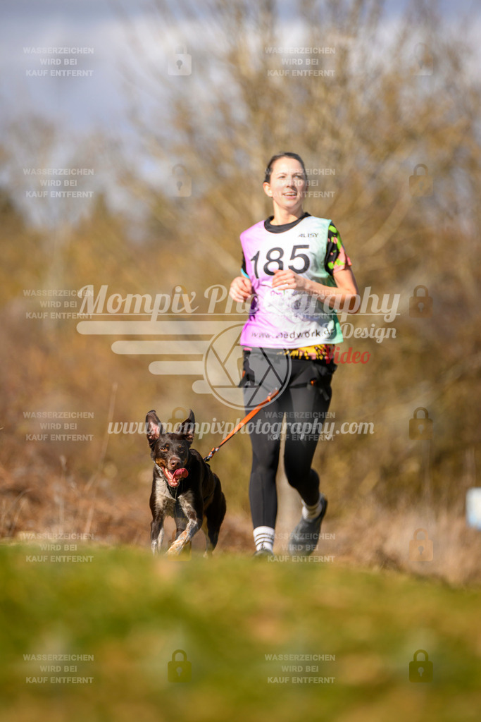 MompixPhotography_10Schwabentrail2026_SO_Canicross-88 | PayLife