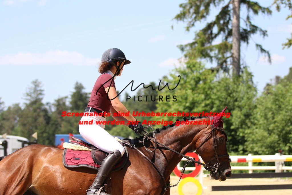 IMG_2343 | lmwpictures - Realisiert mit Pictrs.com