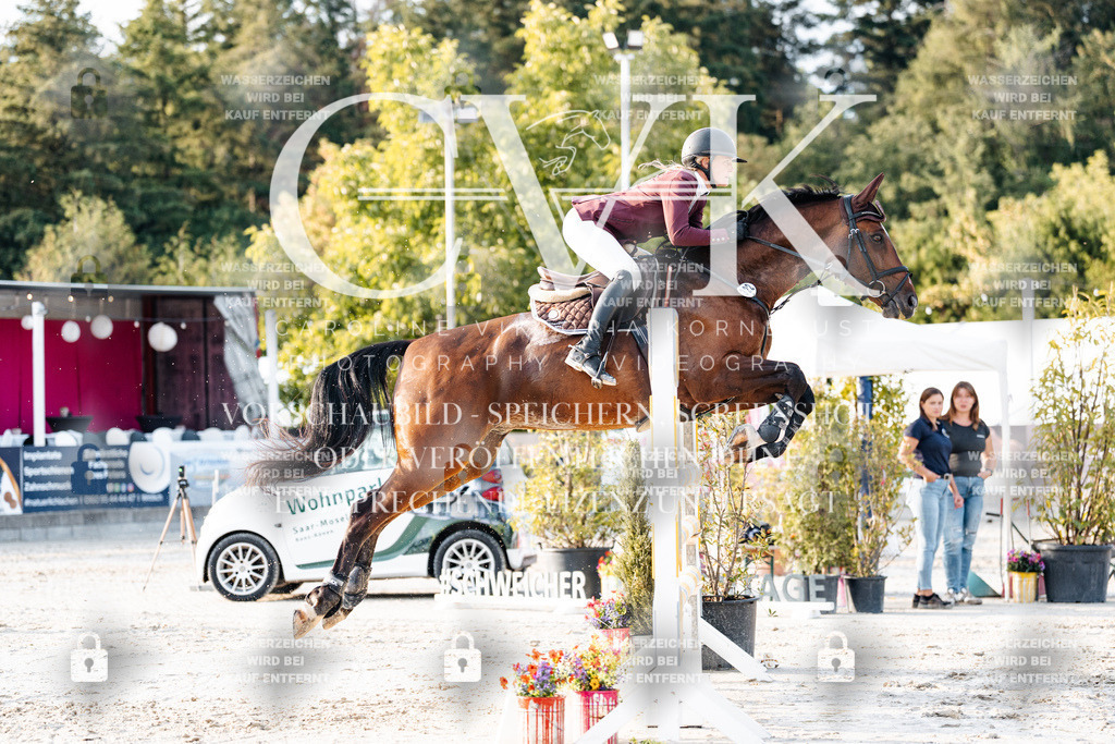 CK903552 | Turnierfotografie Pferdefotografie Trier Rheinland-Pfalz Pferdesport Reitsport Tierfotografie Sportfotografie Pferdevideo Pferdevideografie Equestrianvideography equestrianphotography  - Realisiert mit Pictrs.com