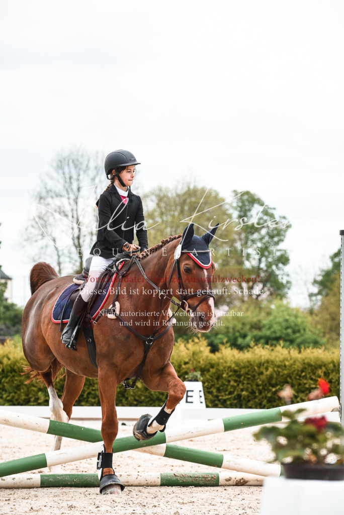 20230518_JK-Röhrsdorf-10-437 | Pferde- und Turnierfotografie in Westsachsen. Pferdeportraits, Auftragszeichnungen und intuitive Kunst.