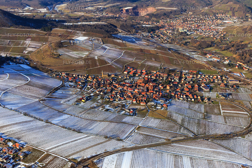 Luftbild: Birkweiler, Kastanienbusch in Birkweiler im Bundesland Rheinland-Pfalz in Deutschland. Foto: IMG_096204.jpg vom 15.01.2017 durch Werner Riehm/FLY-FOTO.de