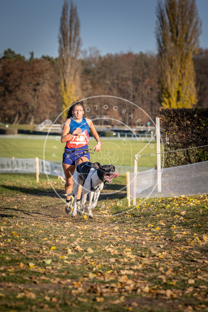 CaniXpix_DV3A1780 | Hundefotografie, Tierfotograf, Pfotenfotografie, Fotoshooting Hund, Hunde Portrait, Hundesport, Hundeportraits, Heideshooting, Hunde, Sportfotograf, Hundefotograf, Turnierhundsport, THS,  - Realisiert mit Pictrs.com