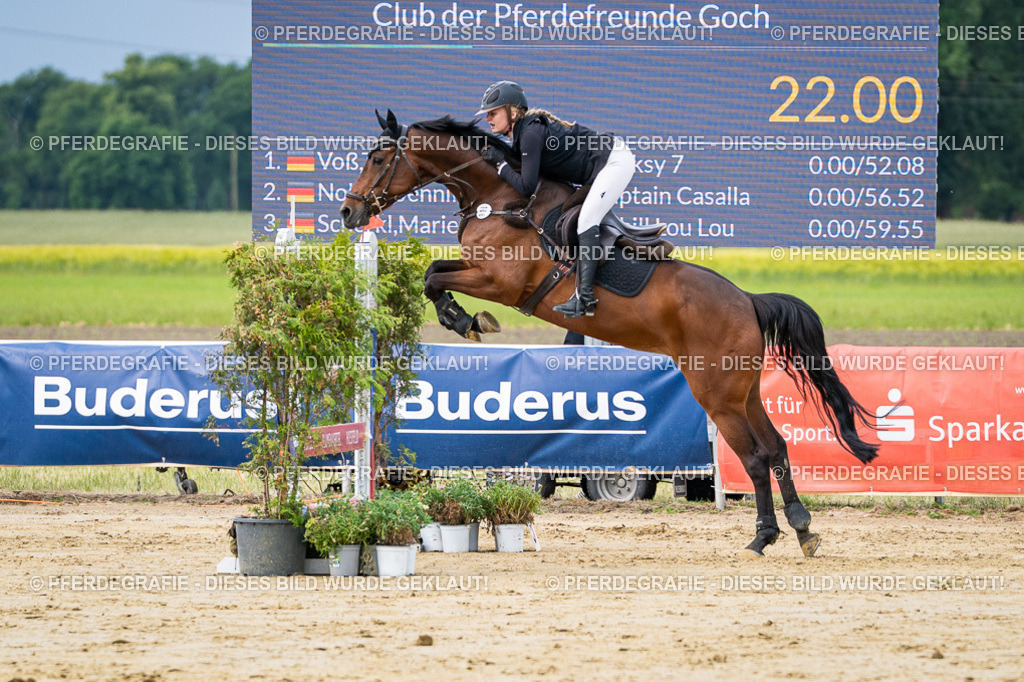 DSC03864 | Pferdegrafie