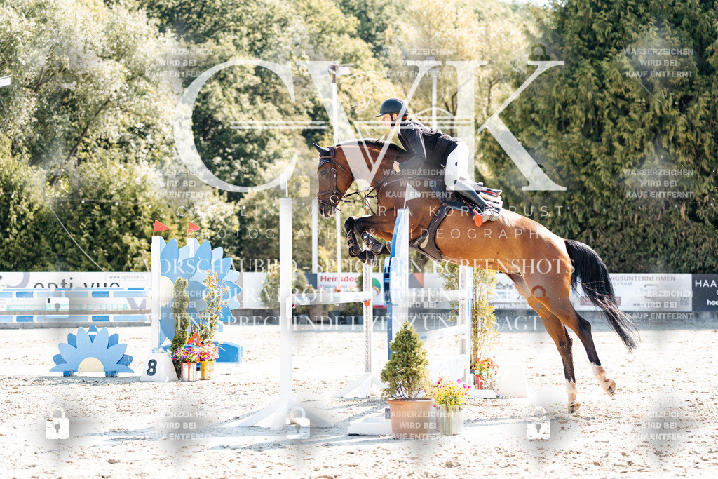 CK902705 | Turnierfotografie Pferdefotografie Trier Rheinland-Pfalz Pferdesport Reitsport Tierfotografie Sportfotografie Pferdevideo Pferdevideografie Equestrianvideography equestrianphotography  - Realisiert mit Pictrs.com