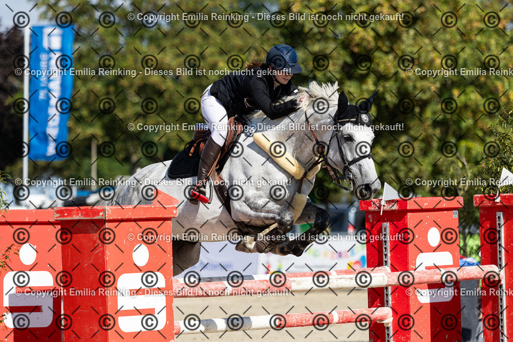 CL5A3900 | Emilia Reinking Fotografie - Realisiert mit Pictrs.com