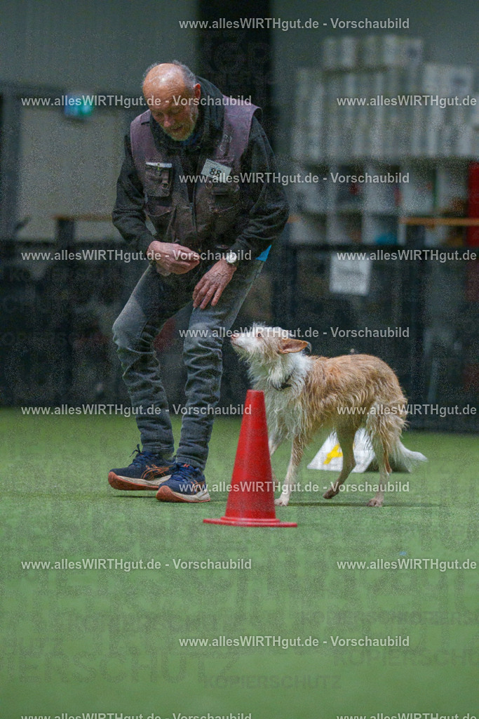 7R503596 | Professionelle Tierfotografie in Mönchengladbach von Daniel Wirth (allesWIRTHgut). Liebevolle & natürliche Bilder von Hunden & Katzen für unvergessliche Erinnerungen.