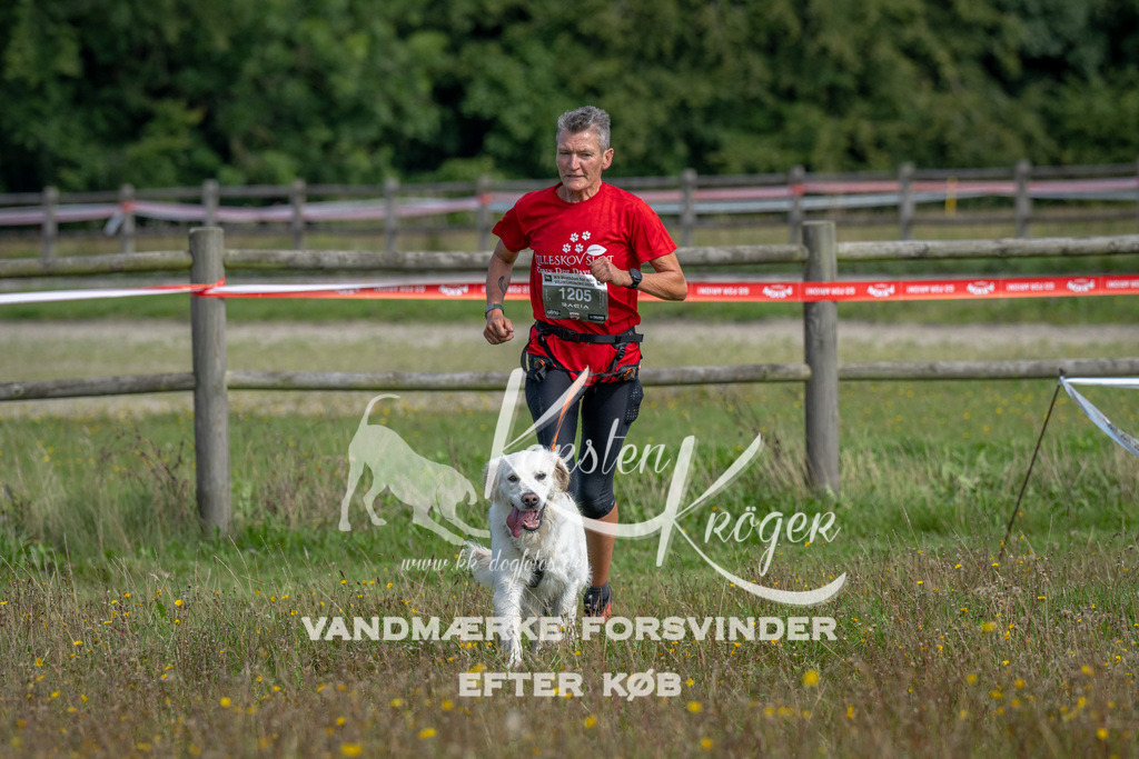 1155_ZZ90432 | kk-dogfotos