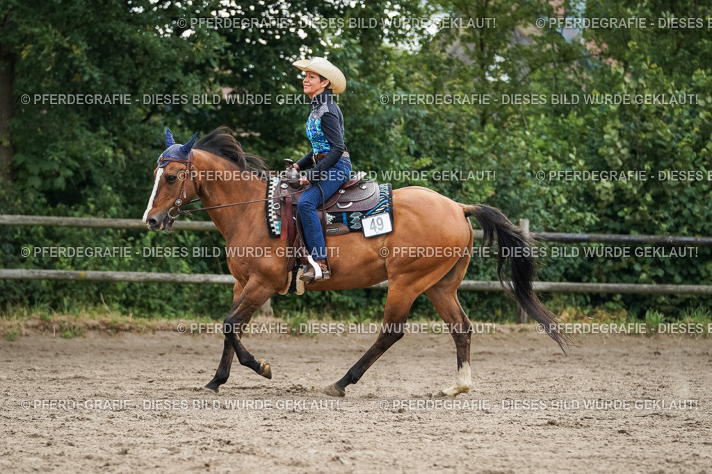 DSC03362 | Pferdegrafie