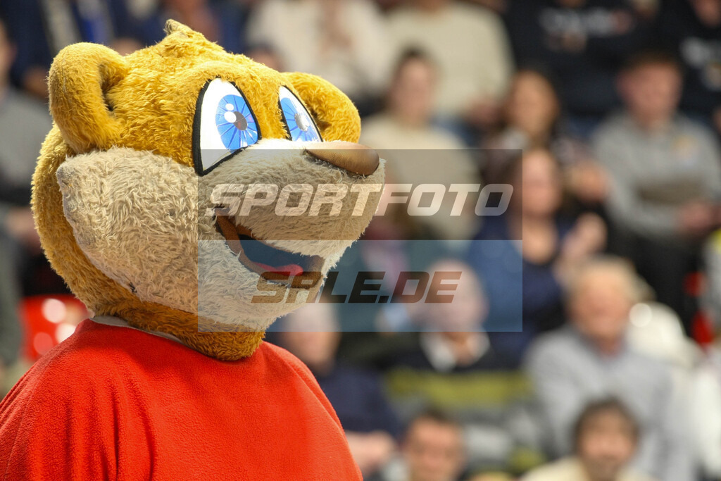 Phoenix Hagen Saison 25/26 - © Sportfoto-Sale (MK) | Maskottchen Fipps - Phoenix Hagen Saison 25/26 - © Sportfoto-Sale (MK) - Realisiert mit Pictrs.com
